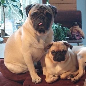 Meet your Posher, Cheryl